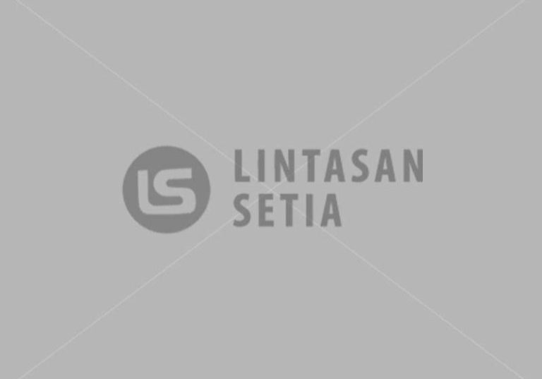 blank-image-logo-lslorry-grey